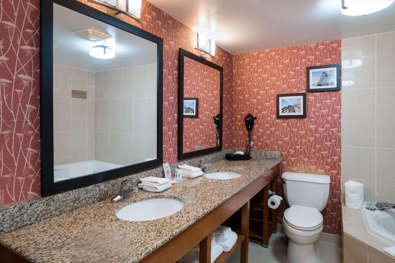 Comfort Suites Suffolk - Chesapeake Екстериор снимка
